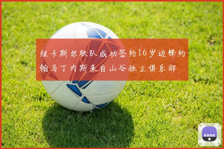 纽卡斯尔联队成功签约16岁边锋约翰马丁内斯来自山谷独立俱乐部