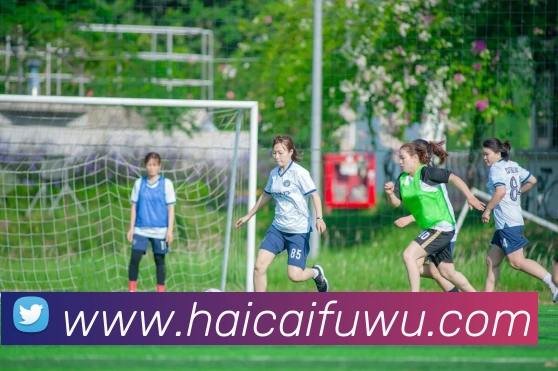 星空体育链接入口APP 封面图